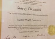 What is license for working at a mental health facility