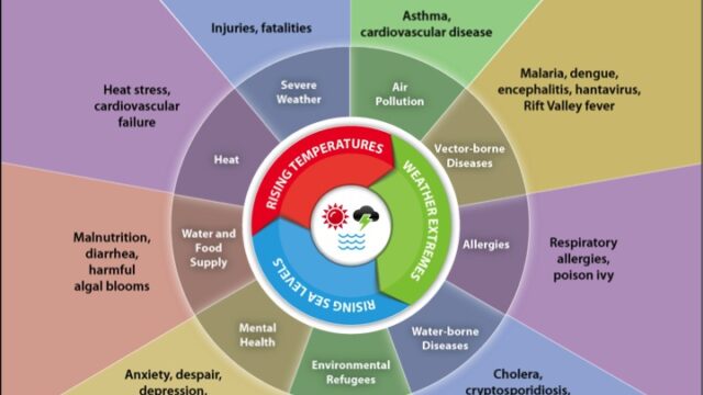 What does help understand consequences look like for health