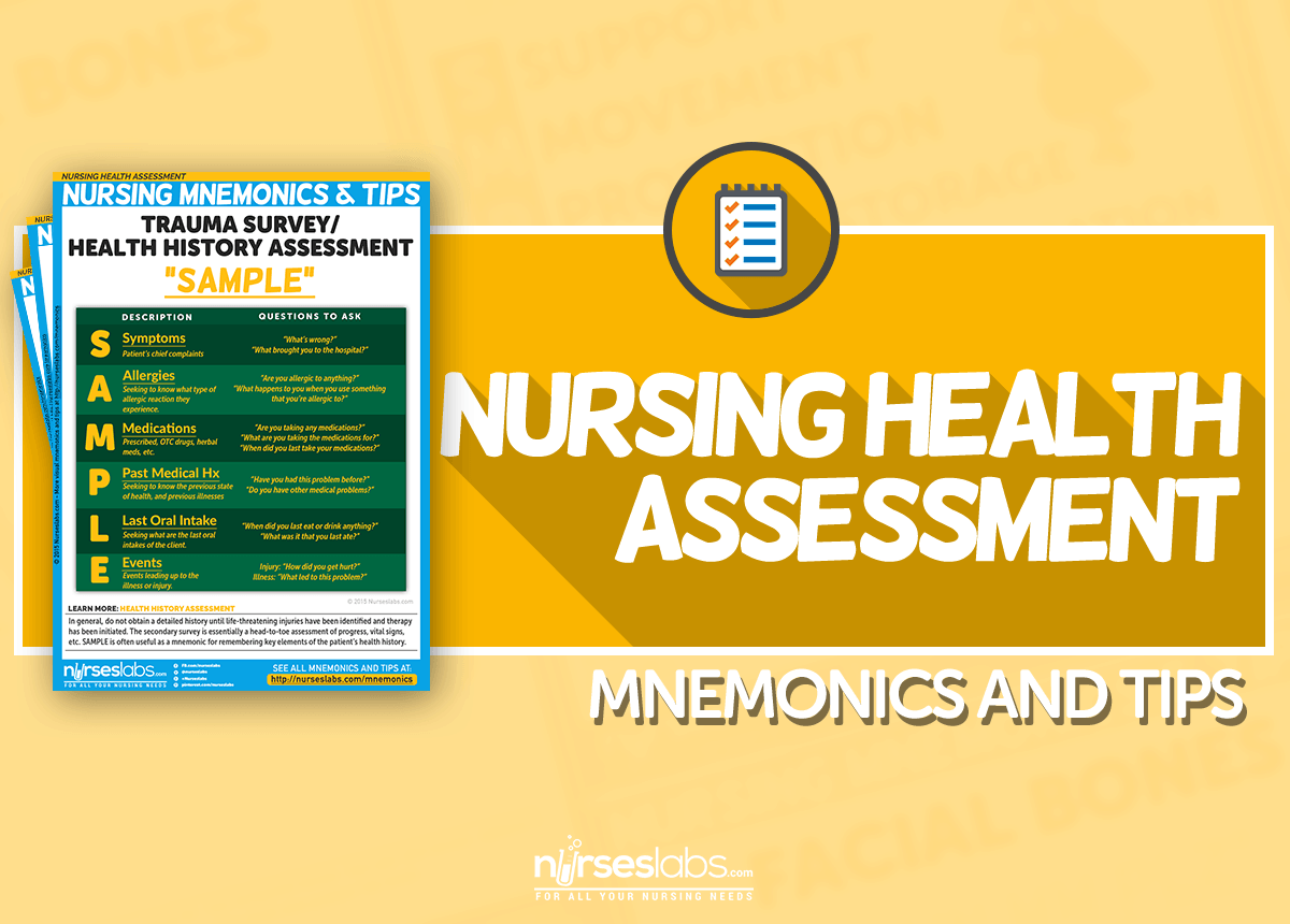 Assessment health guide student ch