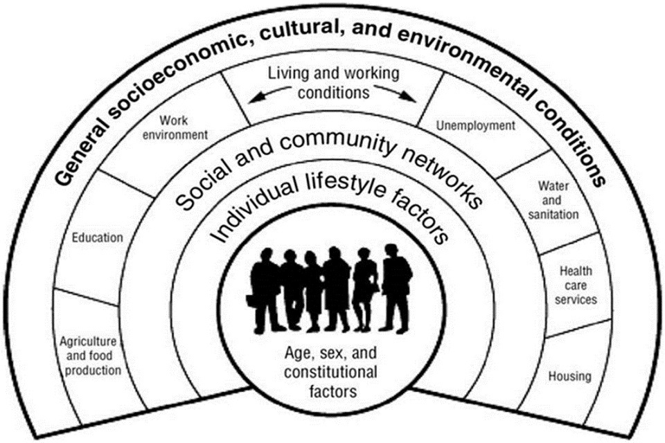 Determinants health biological ppt social powerpoint presentation factors physical dimensions between environment behavioural slideserve