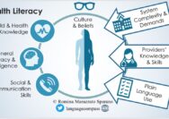 Literacy postpartum physical jcm role framework interventions