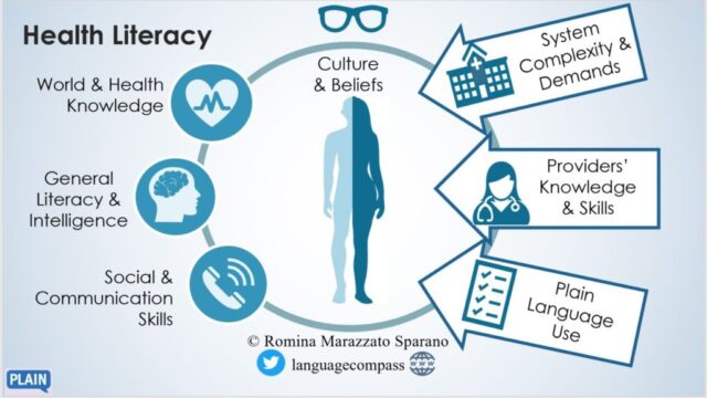 Literacy postpartum physical jcm role framework interventions