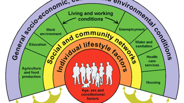 How is language a determinant of health