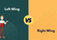 What is right wing health