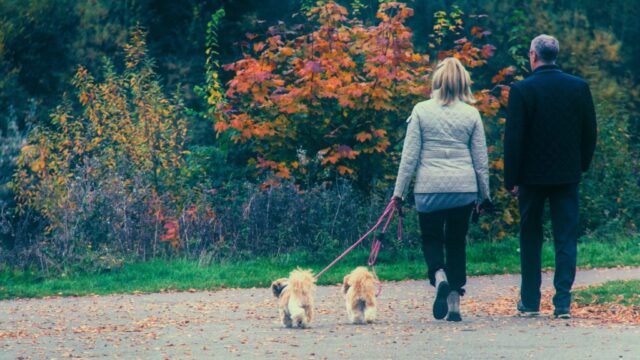 Money spend their pet do owners much pets americans cost