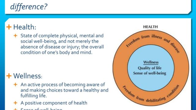 What is the difference between health and wellness