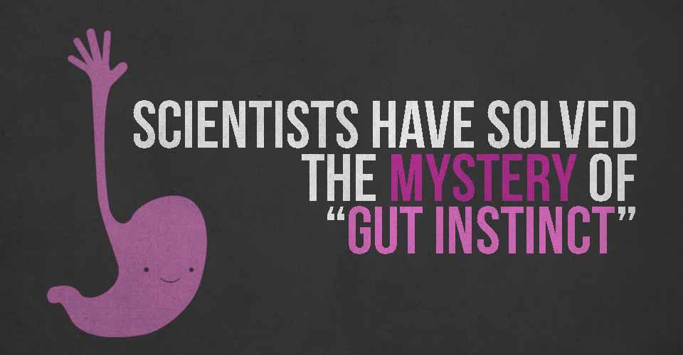 Health gut facts change life will matters simple