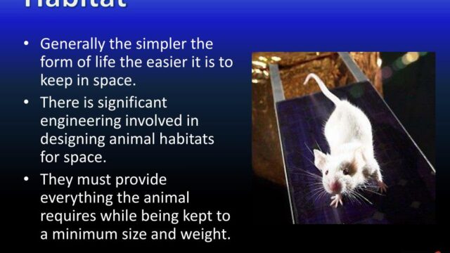 What can limiting an animals space do their physological health